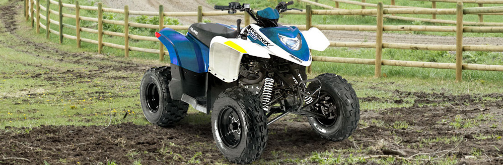 Polaris Mumbai - Offroad Vehicles - Phoenix 200 Atv Distibutors in Mumbai India